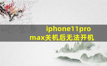 iphone11pro max关机后无法开机